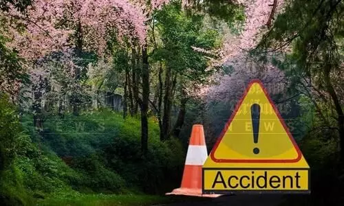 Youth killed en route to Cherry Blossom Festival after VIP convoy hits bike