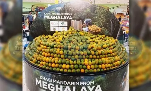 Meghalaya exports 1 MT of Khasi mandarin to Dubai