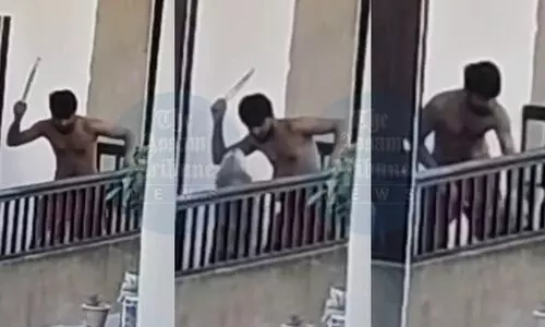 Rising cruelty towards animals