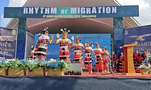 9th Amur Falcon Festival celebrated in Manipur to promote wildlife conservation
