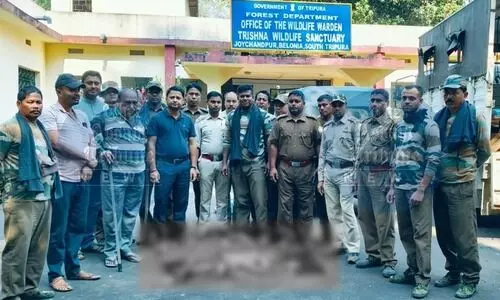 Tripura: Illegal deer poaching exposed, auto driver detained