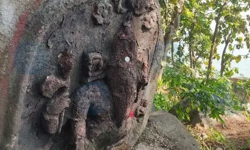 Calls grow to preserve North Guwahatis rock-cut sculptures