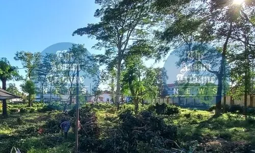 Citizens protest over loss of green cover in Dibrugarh, write to PM