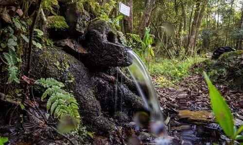 Conclave on climate-resilient springshed held in Imphal