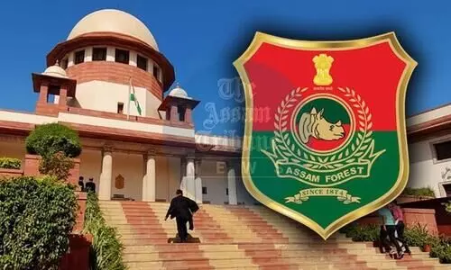 Assam Forest Dept accused of flouting RTI provisions, ignoring SC order