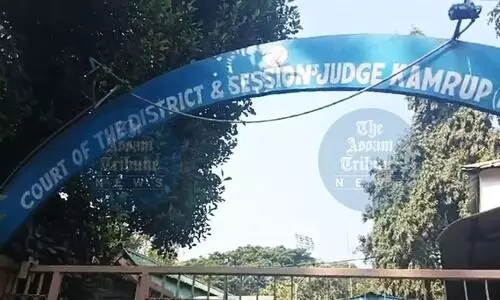 Sessions Court intervenes in animal cruelty case, prioritises dogs protection