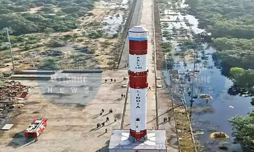 Cowpea seedlings sprout first leaves in space: ISRO