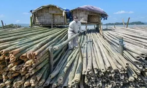 DoNER Ministry teams up with Amazon to boost bamboo trade