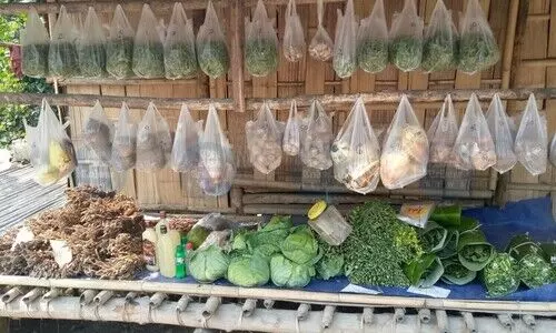 Mizorams Nghah Loh Dawr system praised for integrity at Delhi summit