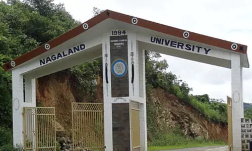 Nagaland University scientists develop flexible supercapacitor for wearables, EVs