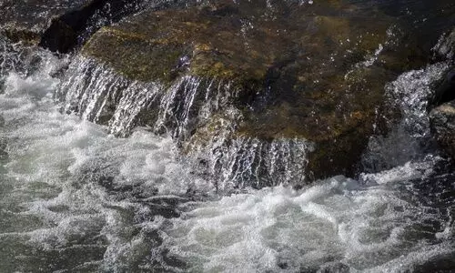 Meghalaya launches drive to rejuvenate 741 drying water sources