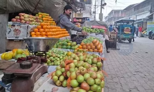 GST collections hit 3-month high at Rs 1.93 lakh crore despite rate cuts