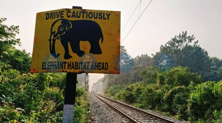 Northeast Frontier Railway deploys Intrusion Detection System to protect elephants
