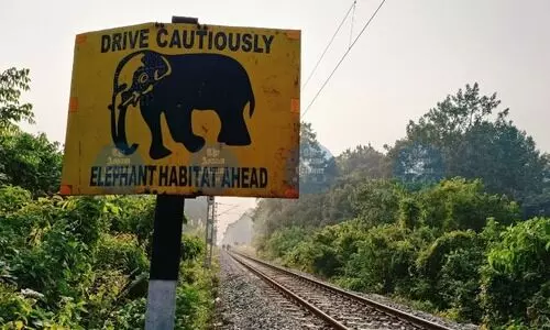 Northeast Frontier Railway deploys Intrusion Detection System to protect elephants