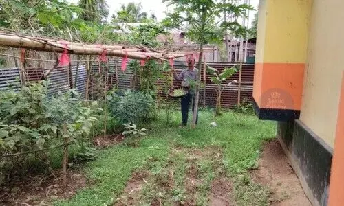 1,417 out of 2,068 schools in Kamrup have nutrition gardens, lack of infrastructure a major hurdle