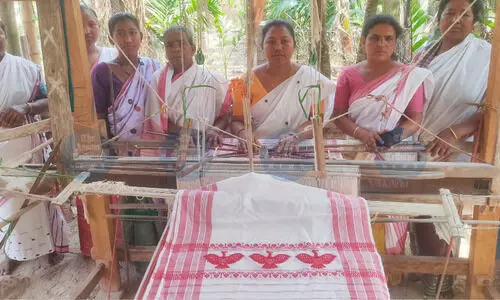 Gamosas with vulture motifs gain global recognition