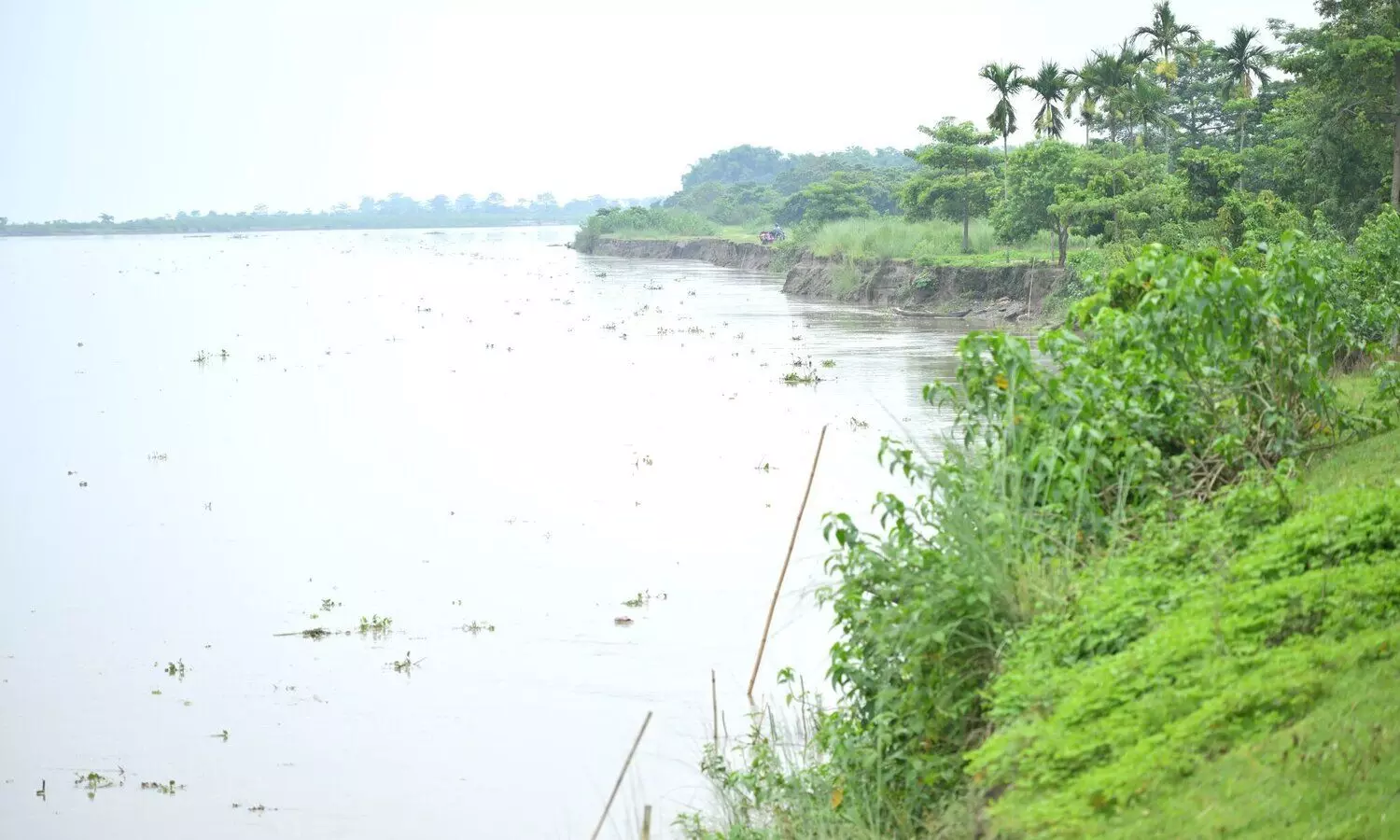 Majuli erosion study reveals 75 sq km land loss, 58 sq km deposition along Brahmaputra Majuli erosion study reveals 75 sq km land loss, 58 sq km deposition along Brahmaputra