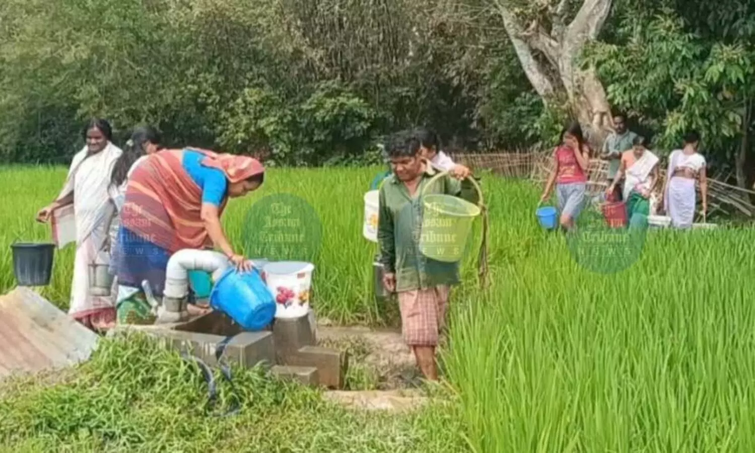 With JJM still elusive, this Nagaon village walks miles for unsafe water