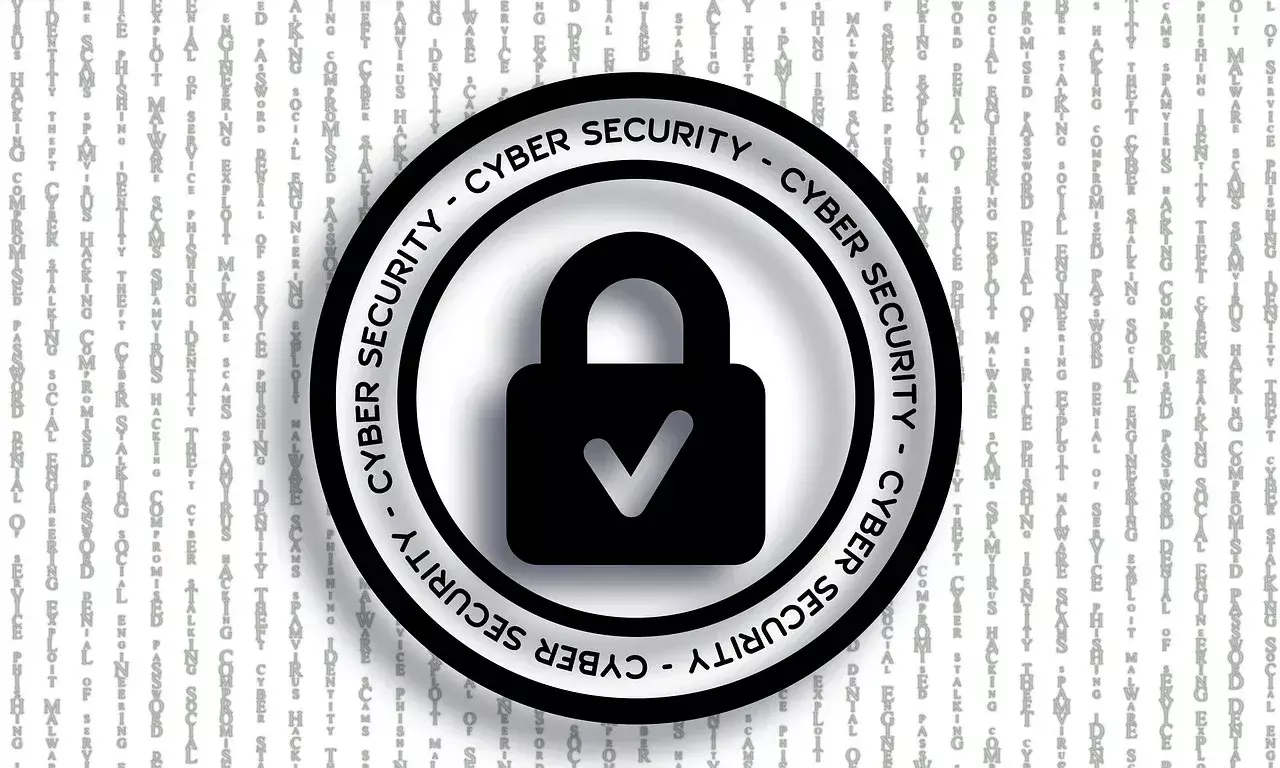 Scammer Season: Cyber security experts warn fans against 3 types of IPL-related scams