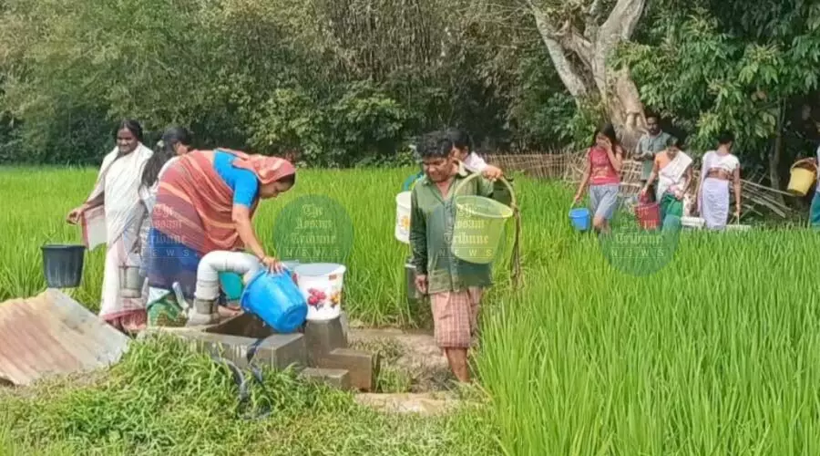 With JJM still elusive, this Nagaon village walks miles for unsafe water With JJM still elusive, this Nagaon village walks miles for unsafe water