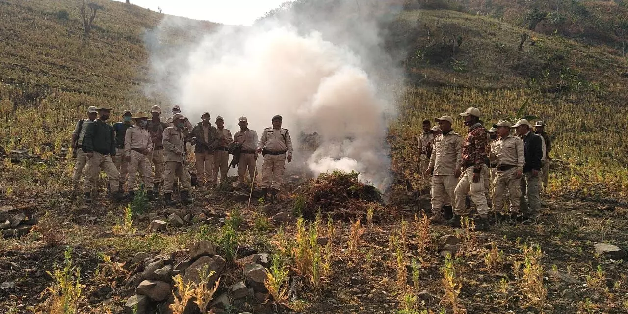 Kuki groups bar Meiteis from Thangjing Hills, warn against buffer-zone breach