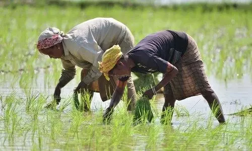 IMD predicts weak monsoon for Northeast; rest of India set for good rains