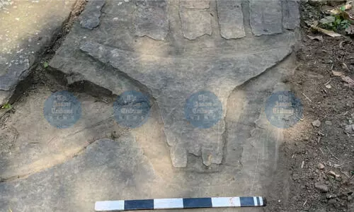 ASI identifies 4 previously undocumented rock art sites in Mizoram