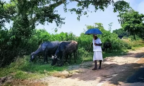 Bihar Bhumi Portal: A Comprehensive Guide to Land Record Management