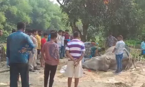 Geeta, star of ‘Awesome Assam’ campaign, dies after 2-month battle with injuries