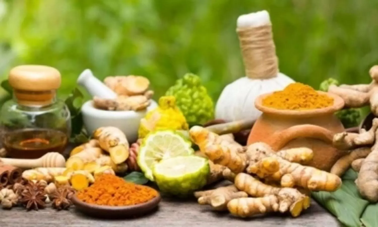 Centre designates September 23 as new National Ayurveda Day Representational Image