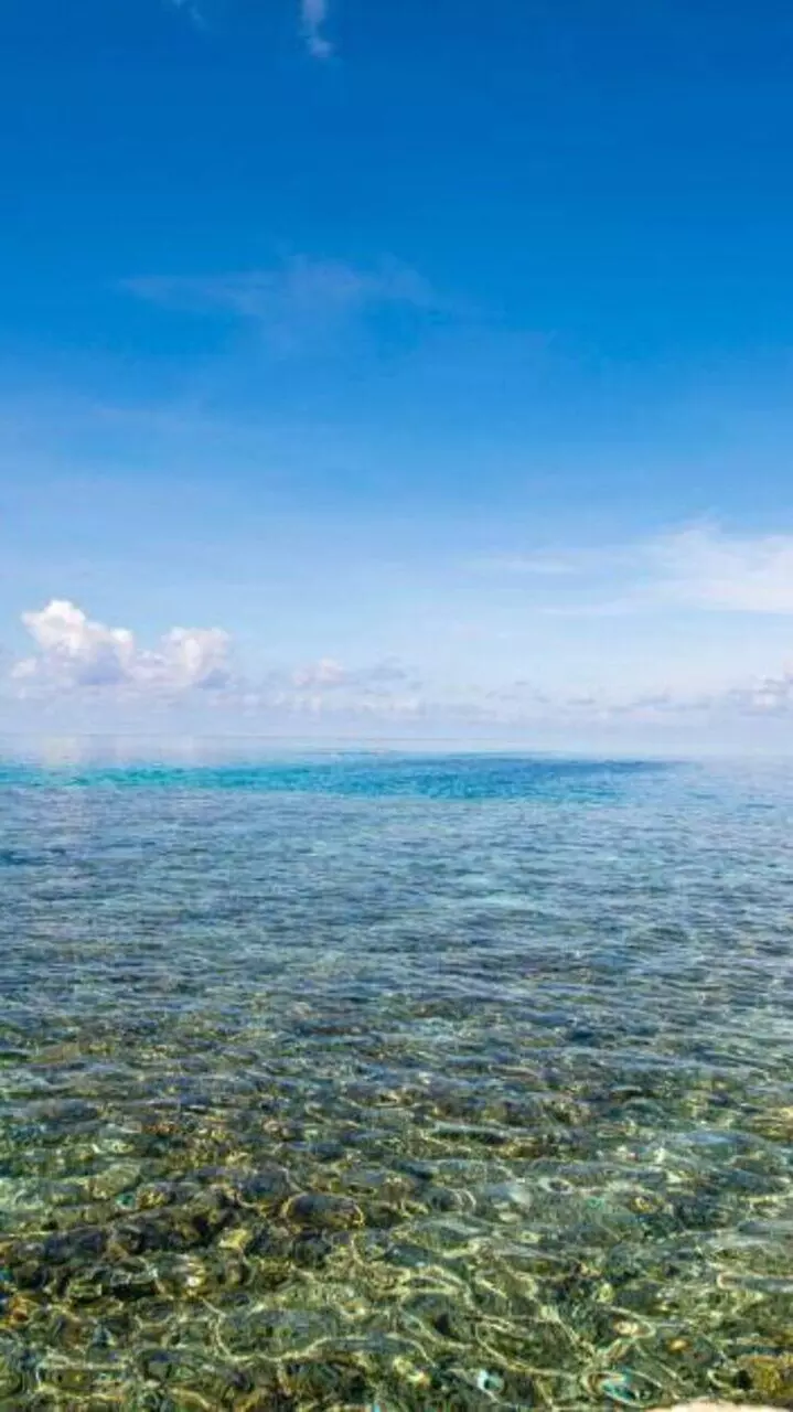 Why the South China Sea Matters to the World?