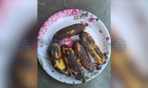 Citizens flag health hazards for artificially ripened bananas in north Kamrup; seek ban