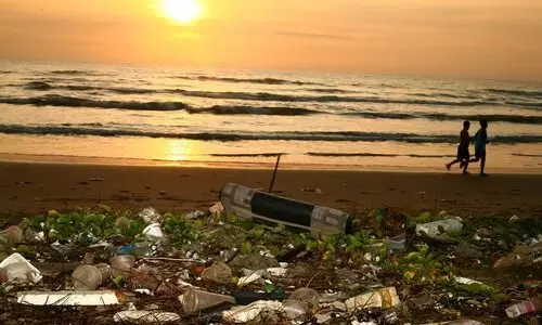 World Environment Day 2025: A wake-up call we can’t ignore