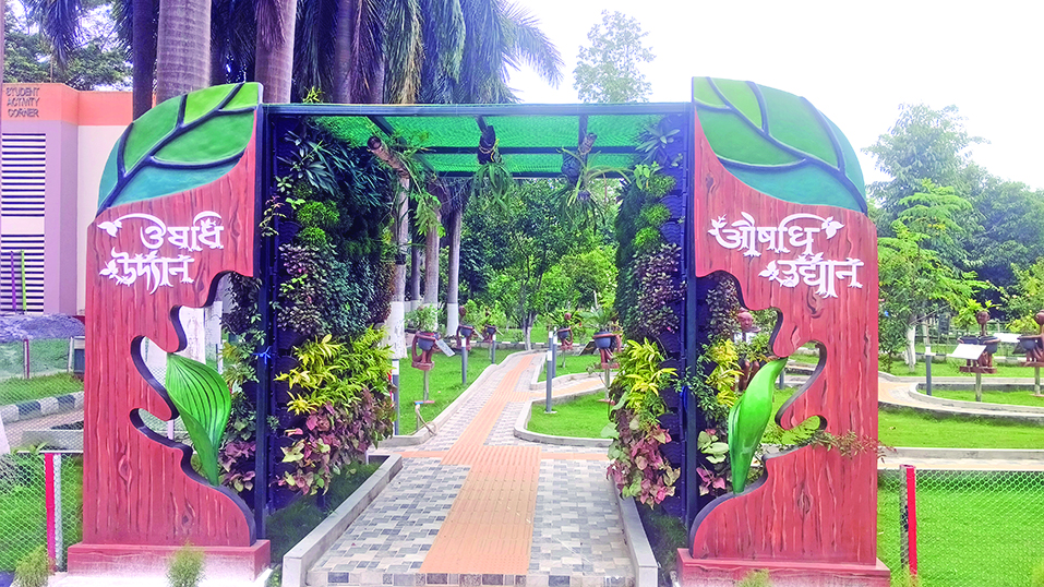 Medicinal garden, online tickets: Guwahati Science Centre steps up visitor experience