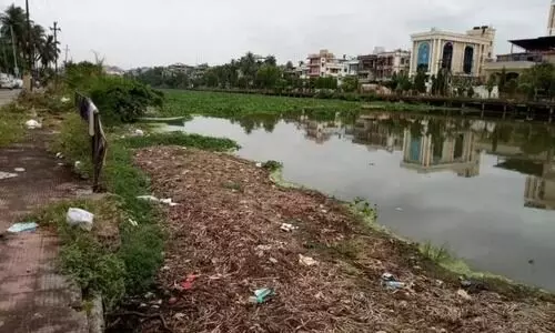 Borsola beel in peril: Once a flood buffer, now a cesspool in need of rescue