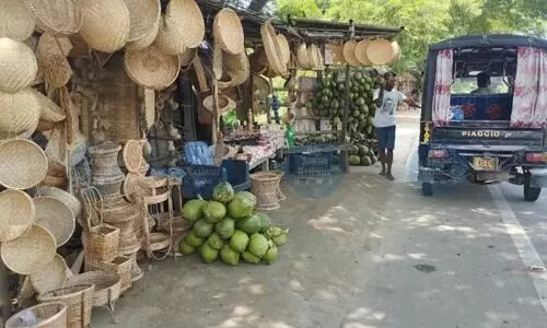 Celebrating local enterprise since 1963: Thekeraguri’s tender coconut trail continues to grow