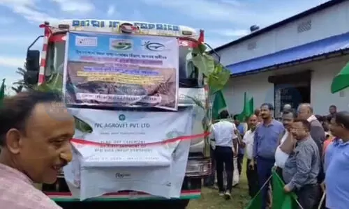 Majuli’s red bao paddy export begins; 267 MT dispatched for global processing