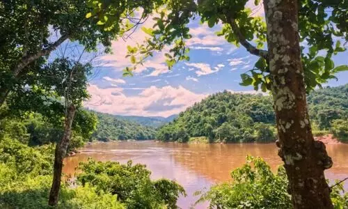 ‘No need to protest’: CM says written objection enough to stall Kulsi hydel project