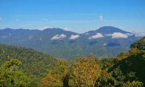 Representational Image