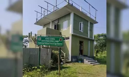 REC pledges Rs 5.3 cr to boost anti-poaching camps in Kaziranga National Park