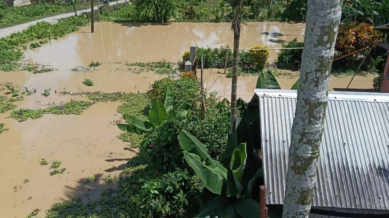 3 Assam rivers flowing above danger level; Golaghat, Numaligarh, Sivasagar severely hit 3 Assam rivers flowing above danger level; Golaghat, Numaligarh, Sivasagar severely hit
