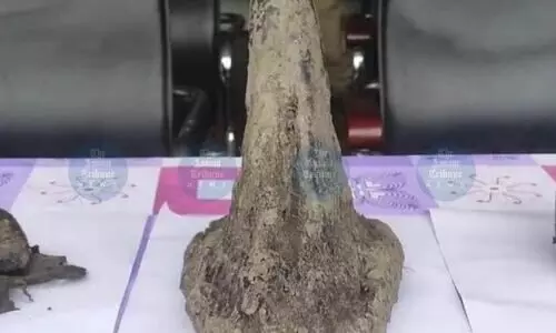 DNA mapping of rhino horns in Assam marks major step in long-term conservation