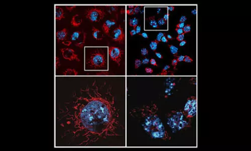 Representational Image