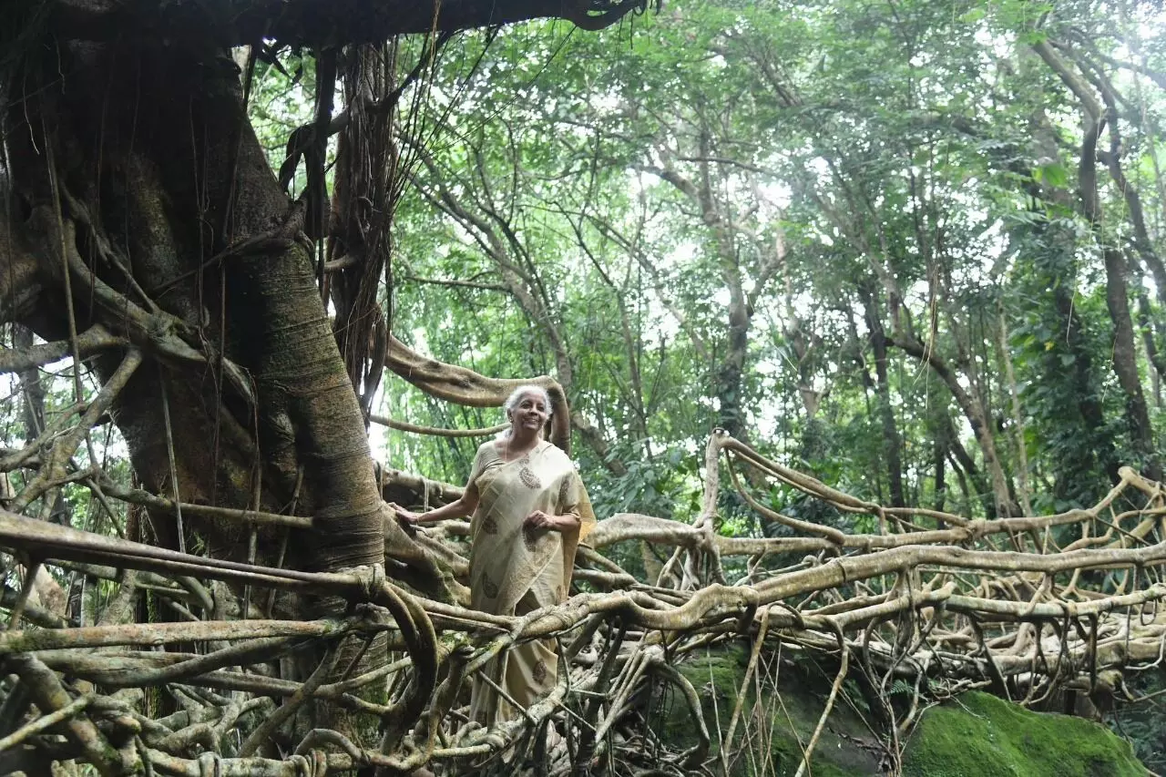 Sitharaman lauds Meghalayas living root bridges, calls them global example of eco wisdom