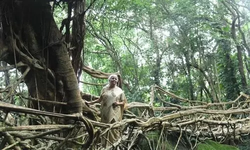 Sitharaman lauds Meghalayas living root bridges, calls them global example of eco wisdom