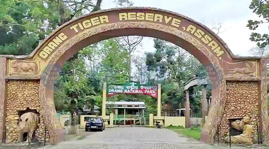 Tiger count rises in Orang; Assam govt plans park expansion, tourism boost