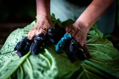 Representational Image