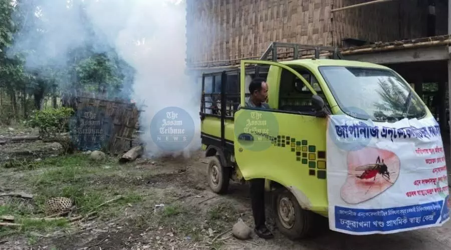 Japanese Encephalitis, AES cases spike in Lakhimpur; 38 cases so far, three dead