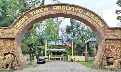 Tiger count rises in Orang; Assam govt plans park expansion, tourism boost