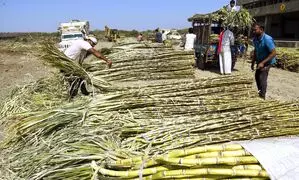 Representational Image Representational Image